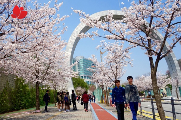 Nhiều hoạt động khi đăng ký du học thạc sĩ Hàn Quốc